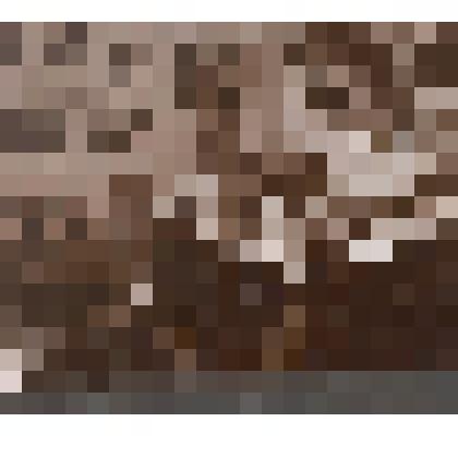 Л.Н. Толстой за работой в кабинете