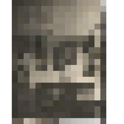 Ф/чб. Экспозиция Центрального музея АССР НП: отдел природы. (витрина с чучелами лисиц, на стене: деревянные часы с термометром, чучела головы оленя и козла, иллюстрации). Энгельс. 1941