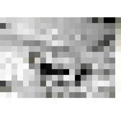 Фотография. Буровая площадка  Чутырского месторождения нефти