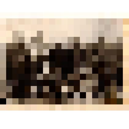 Фото групповое (на поле) черно-белое