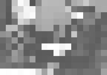 Фотография Директор АСТ Г. И. Кравченко  вручает диплом с отличием И. А. Окунькову