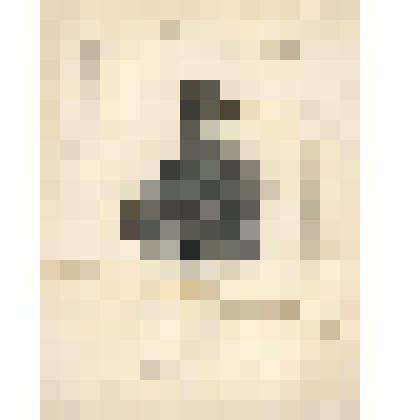 Портрет ямщика. Литография