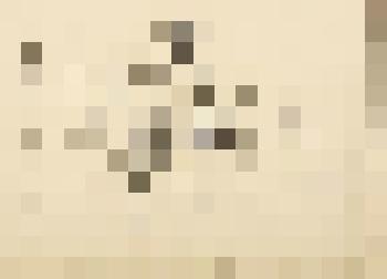 Портрет жены художника