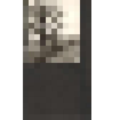 Дерево жизни. №1