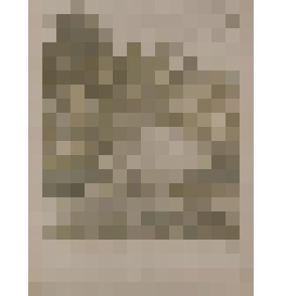 Литография. Лето в Звенигороде