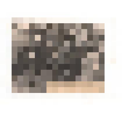 Фотография ч/б. На площади с. Тюменцева. Встреча космонавта В. Г. Лазарева. 1975 г