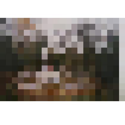 Фото общего вида Мольковской Братской могилы советских воинов и подпольщиков