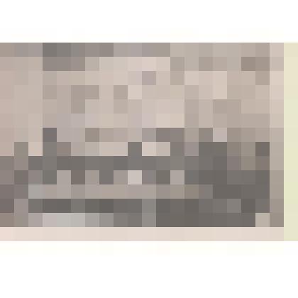 Фотография  групповая в центре  П В Булахов