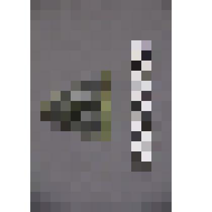 коллекция В.Ф. Лагодича. Талисман каменный. Изготовлен в виде фигурки человека, по образу фигурок карасукского времени. Подтреугольной формы. Камень темно зеленого цвета