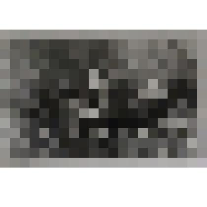 Фотография. Коллектив научных сотрудников Жигулевского заповедника