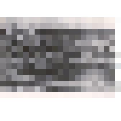 Фотография: общий вид Михайловского содового комбината, Алтайский край. Копия