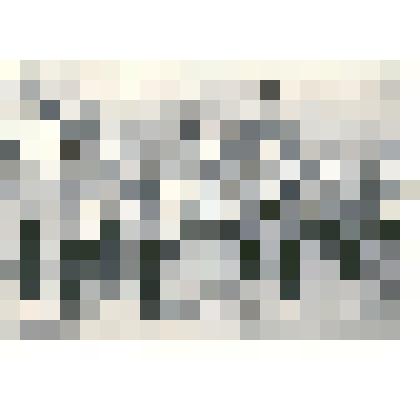 Фотография: первомайская демонстрация в г.Камне-на-Оби Алтайского края