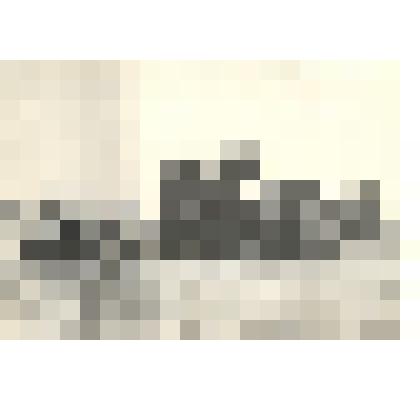 Фотография: уборка сена комбайном СК-3 в совхозе имени Крупской Панкрушихинского района Алтайского края