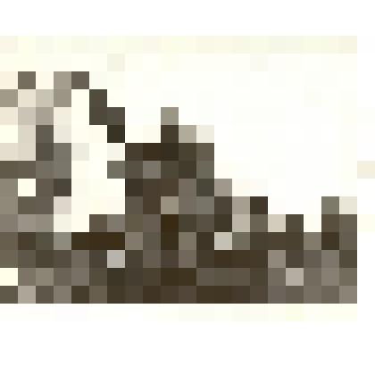 Фотография: дом купца Хомутова по улице Главной с.Камень Крутихинской волости Барнаульского уезда Томской губернии. Копии