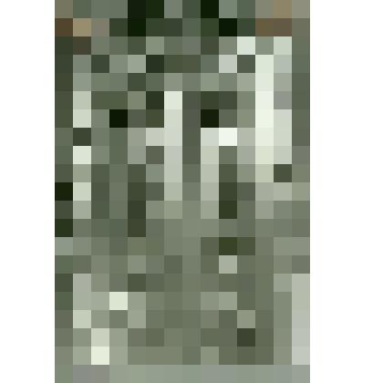 Царские врата (створа левая)