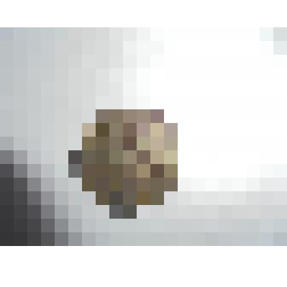 монета 20 копеек