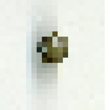 Пуговица для одежды