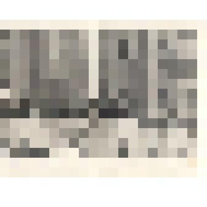 Фотографии. Фото. Шушеначев И.В. шестой справа на трибуне Первомайской площади