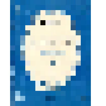 Ноты на тексты М.Ю. Лермонтова