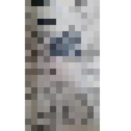 Газета "Адлерская правда"
№80 (3196) от 06.07.1960 г