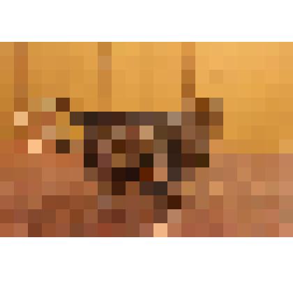 Конфетница