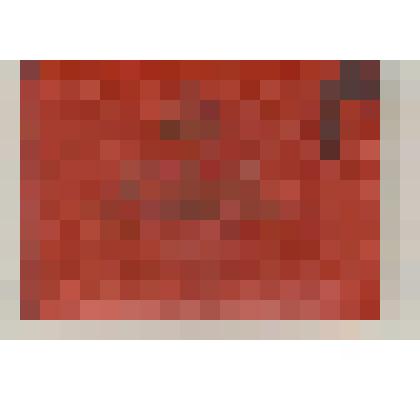 Документальный фонд/ Документы ВОВ. Билет депутатский №84 депутата Урюпинского городского совета депутатов трудящихся Папулова Николая Петровича. 1962 г