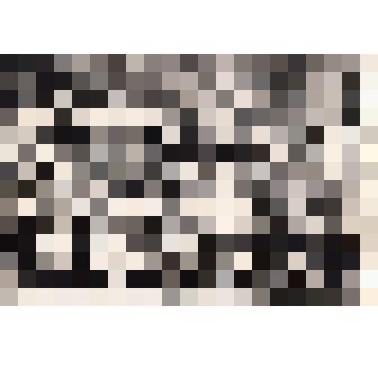 Портрет групповой, Пионерский лагерь имени В. Котика