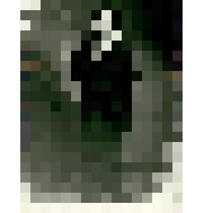 Фотоотпечаток. Спектакль "Раскинулось море широко", артистка балета - И.В. Пельцер