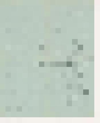 Ю.Н. Рерих. Письмо Л.С. и Т.С. Митусовым