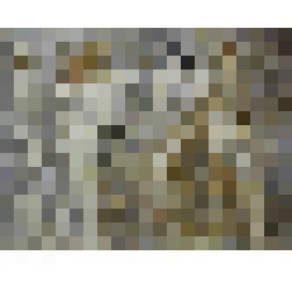 Фехтовальщики