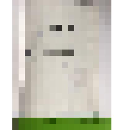 Книга. Добрый волшебник. Коллективный портрет писателя Владимира Свинцова