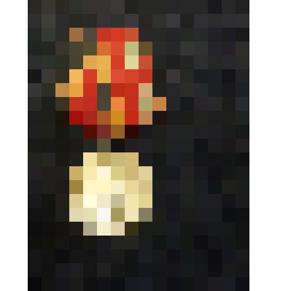 Медаль "30 лет Победы в ВОВ 1941-1945гг"