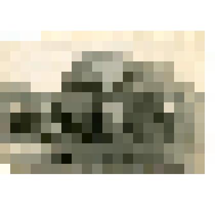 Фотография. Праздничное гуляние в деревне Круг Оскуйского сельсовета