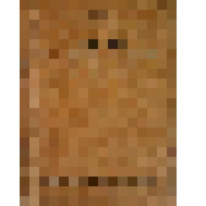 Брошюра. Список лекарственных формул утвержденных ученым медицинским советом НКЗ РСФСР