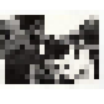 Фото/чб. Волжский научно-исследовательский институт гидротехники и мелиорации. Лаборатория. Энгельс. 1980-е