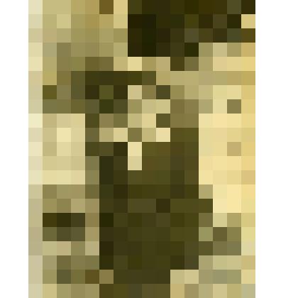 Фотография. Сельскохозяйственная выставка Ленинского района в Царицино