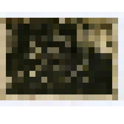 Фотография. Группа  представителей сельскохозяйственной артели «Арайс» Таракановского сельского совета