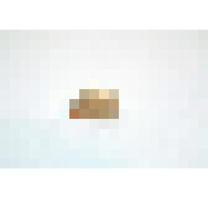 Раковина моллюска. Стромбус