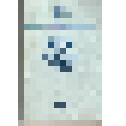 Брошюра.Рапорты,приветствия,письма,телеграммы 19 съезду ВЛКСМ