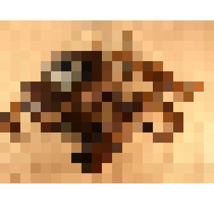 Фотоаппарат съемочный универсальный ФЭД № 131356