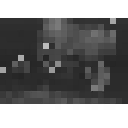 Негативы. Фотонегатив. Участники слета слева направо: Б.В. Коков, К.Е. Маганаков, А.В. Курбижекова, Е.Т. Тыгдымаева, З.И. Боргоякова, дочь ее Ира