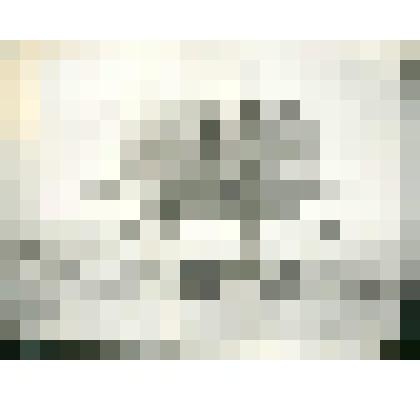 Фотография. Лабаз на Ляховском острове