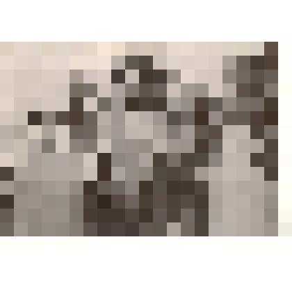 Фотография. Пионеры Велижанской средней школы у памятника герою-партизану Кири Баеву в с.Поперечное Каменского района