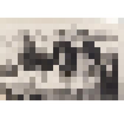 Фото Заседание Совета Университета по охране природы. Обсуждение очередного занятия в Ошминском ДК