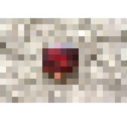 Значок с портретом Ленина в профиль, бордовый