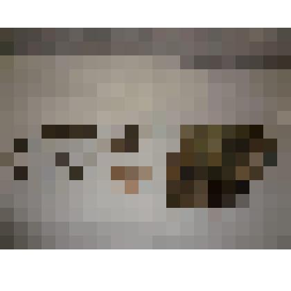 Стенник или Бра