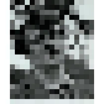 Фотография. «Михаил Петрович Финнов 1978г»