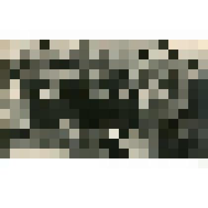 Групповой снимок. Егоров Николай Васильевич с учителями и писателями Якутии