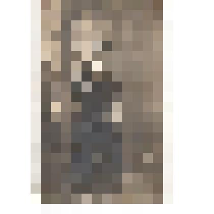 Фо/чб. Раушенбах Луиза Петровна, преподаватель Екатериненштадтской гимназии. Екатериненштдат (Баронск). ~ 1910