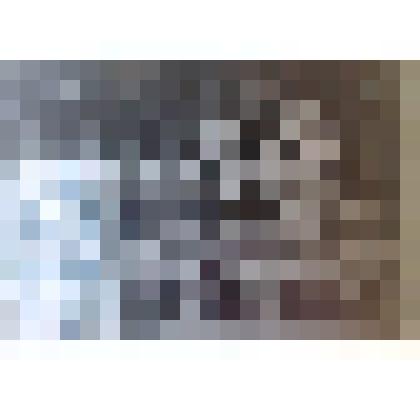 Фотография. Дети и сотрудники детского сада